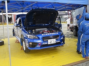 RALLY PLUS