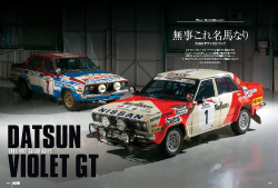 RALLY CARS GALLERY